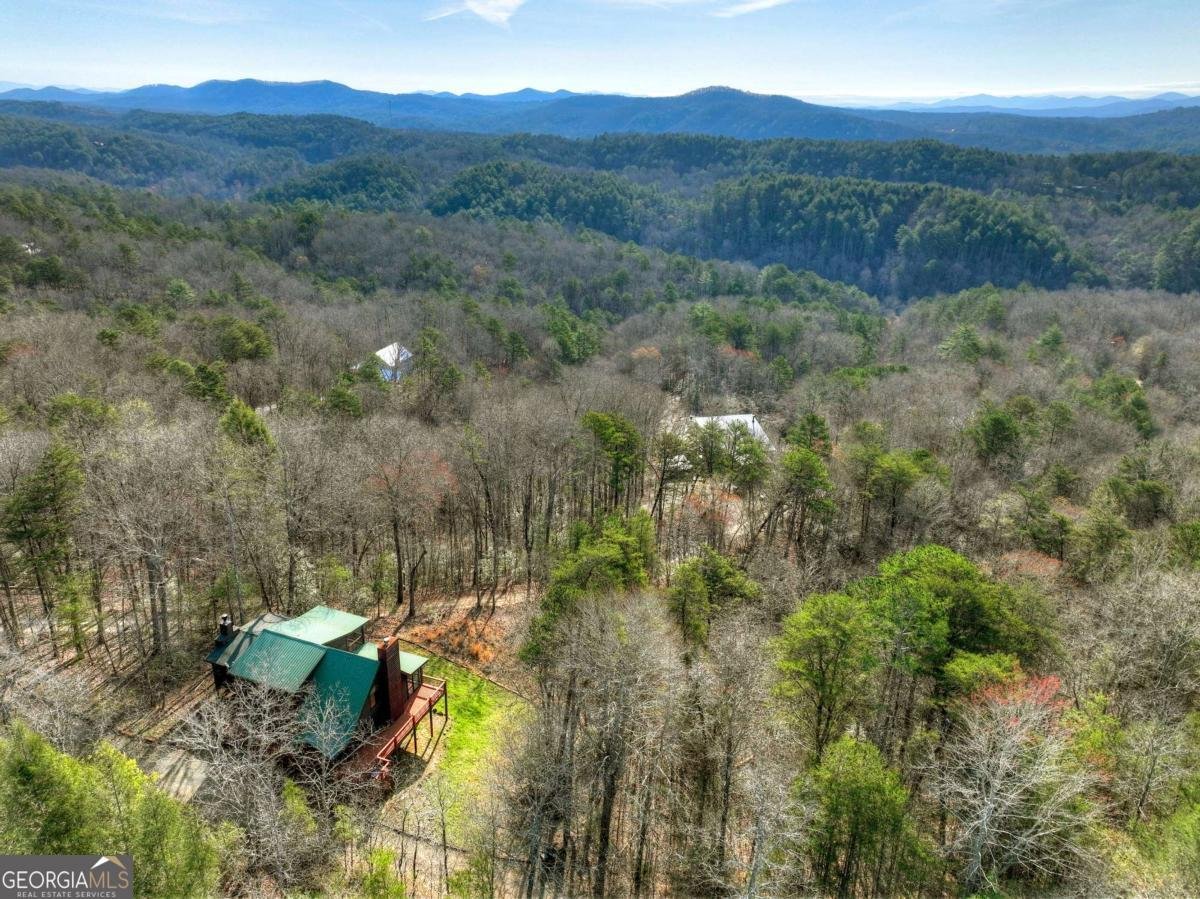 500 Evening Shade Walk Mineral Bluff - Photo 45