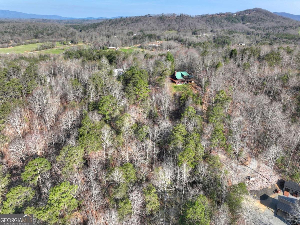 500 Evening Shade Walk Mineral Bluff - Photo 47