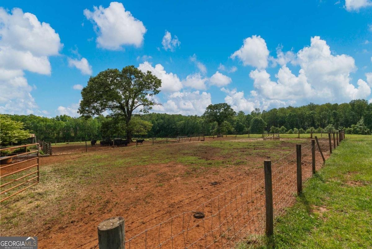 1540 Flint Hill Highway Shiloh - Photo 10