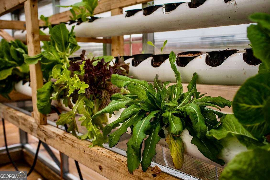 1540 Flint Hill Highway Shiloh - Photo 13