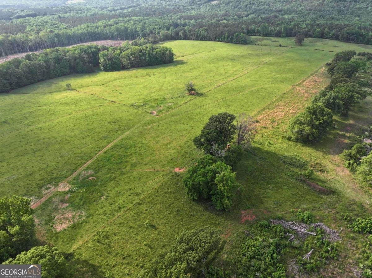 1540 Flint Hill Highway Shiloh - Photo 17