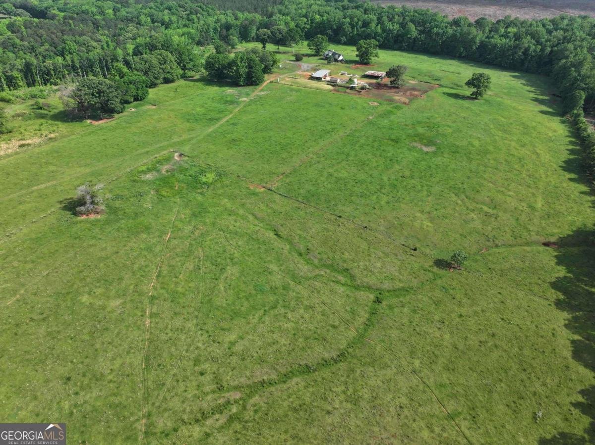 1540 Flint Hill Highway Shiloh - Photo 19