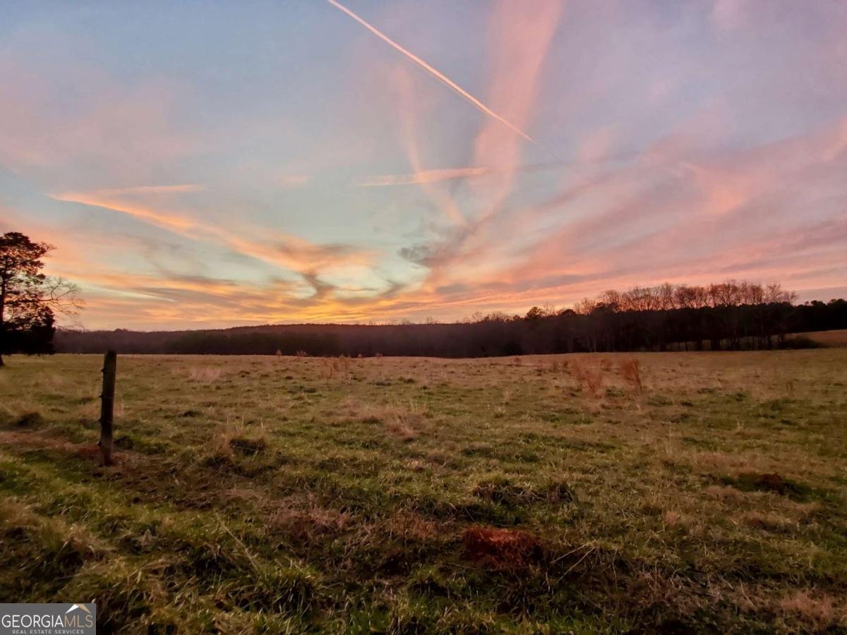 1540 Flint Hill Highway Shiloh - Photo 68