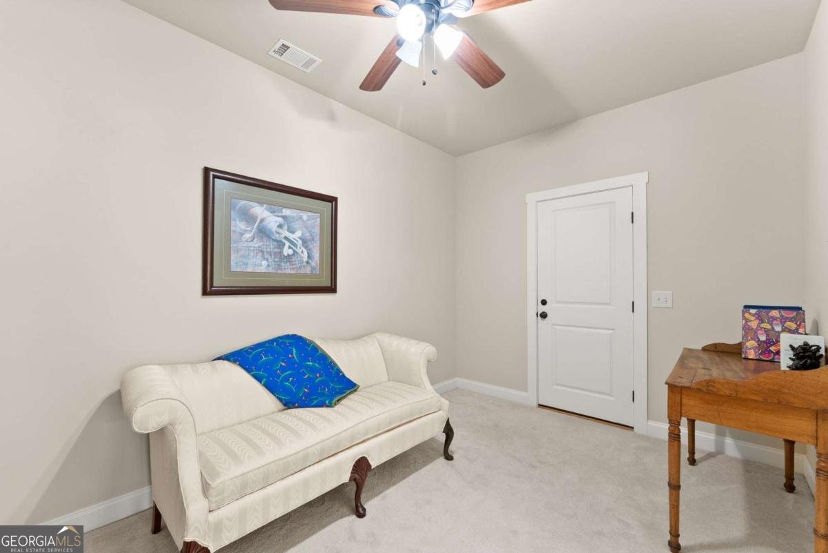 167 Early Red Pippin Clarkesville - Photo 33