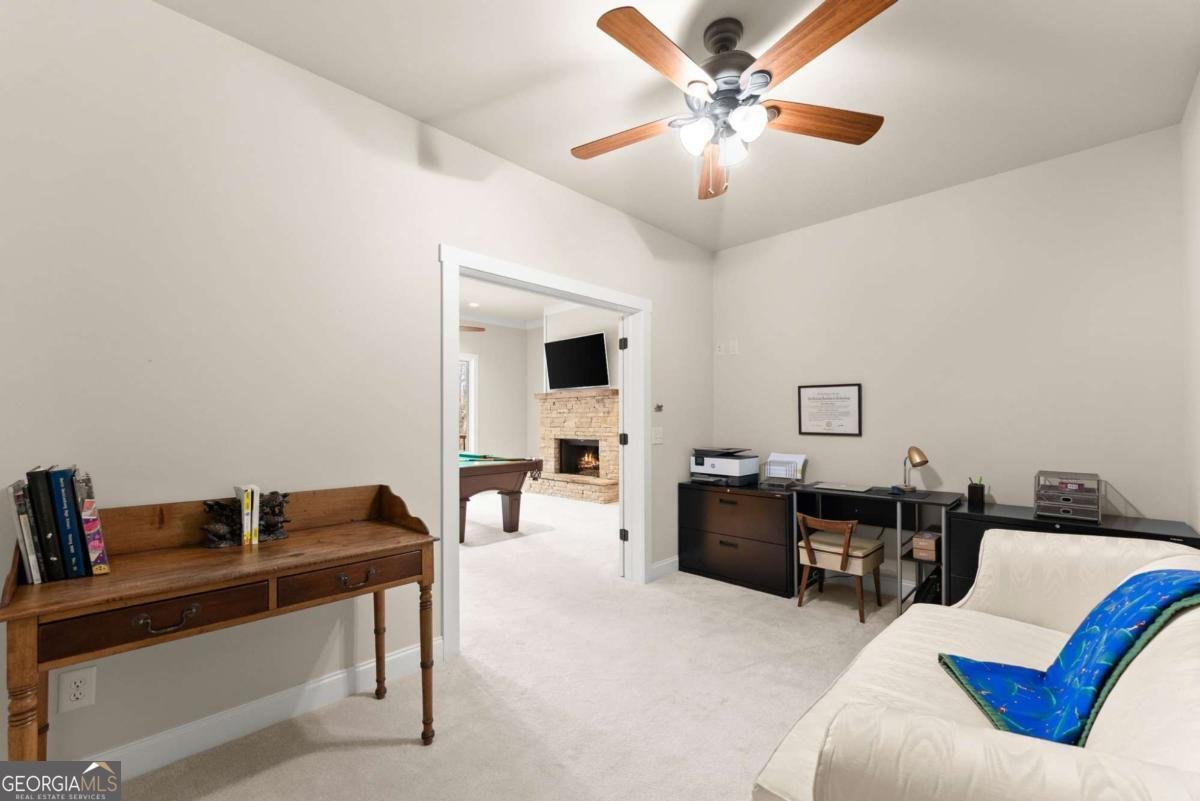 167 Early Red Pippin Clarkesville - Photo 34