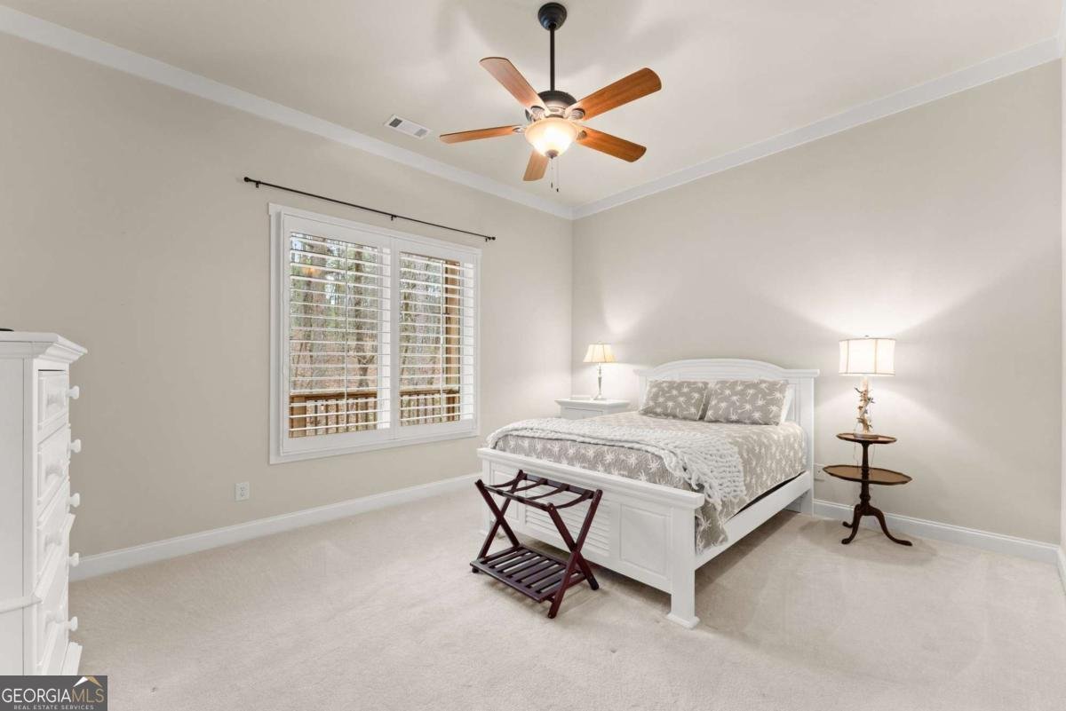 167 Early Red Pippin Clarkesville - Photo 38