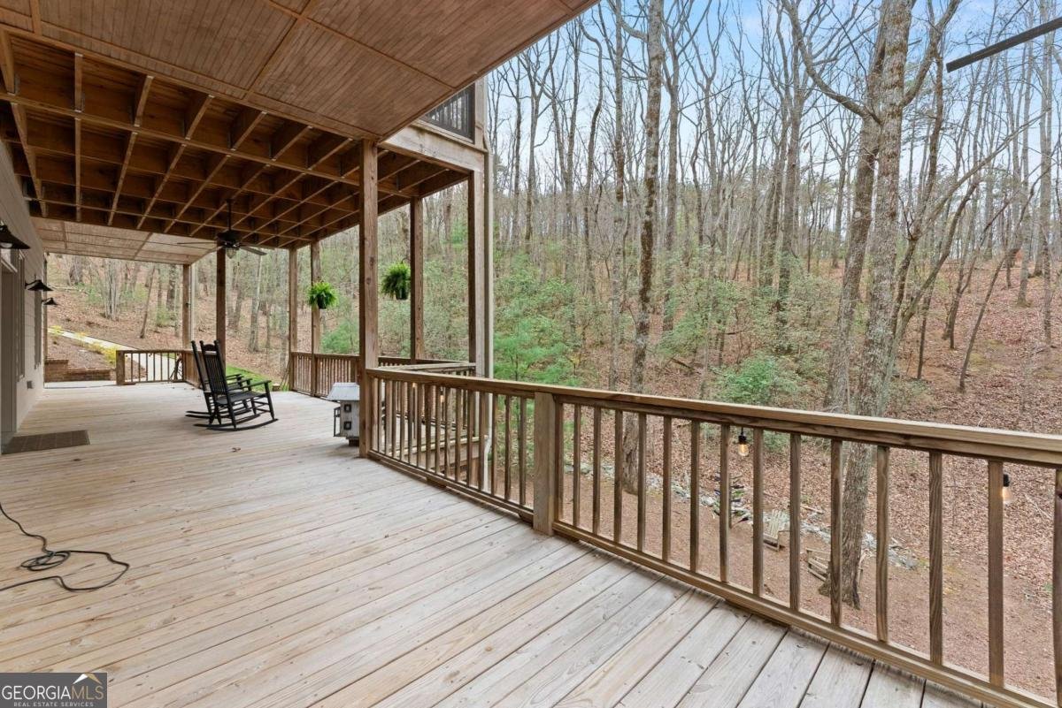 167 Early Red Pippin Clarkesville - Photo 41