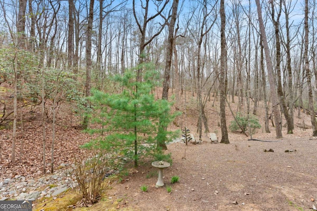 167 Early Red Pippin Clarkesville - Photo 43