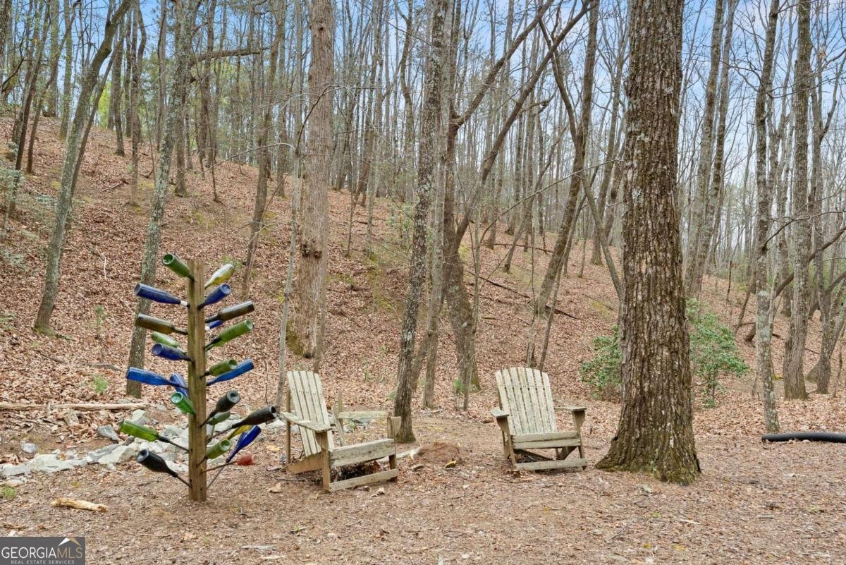 167 Early Red Pippin Clarkesville - Photo 44