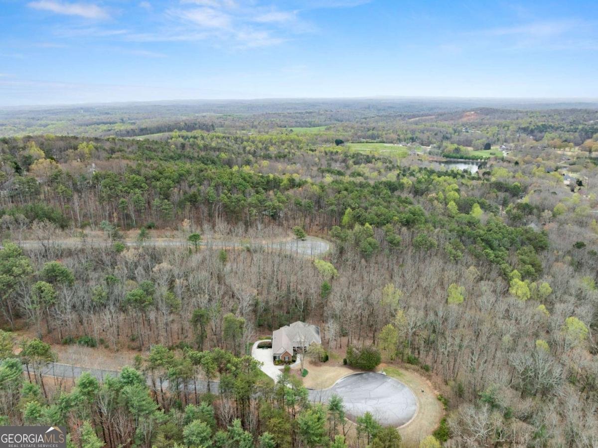 167 Early Red Pippin Clarkesville - Photo 52