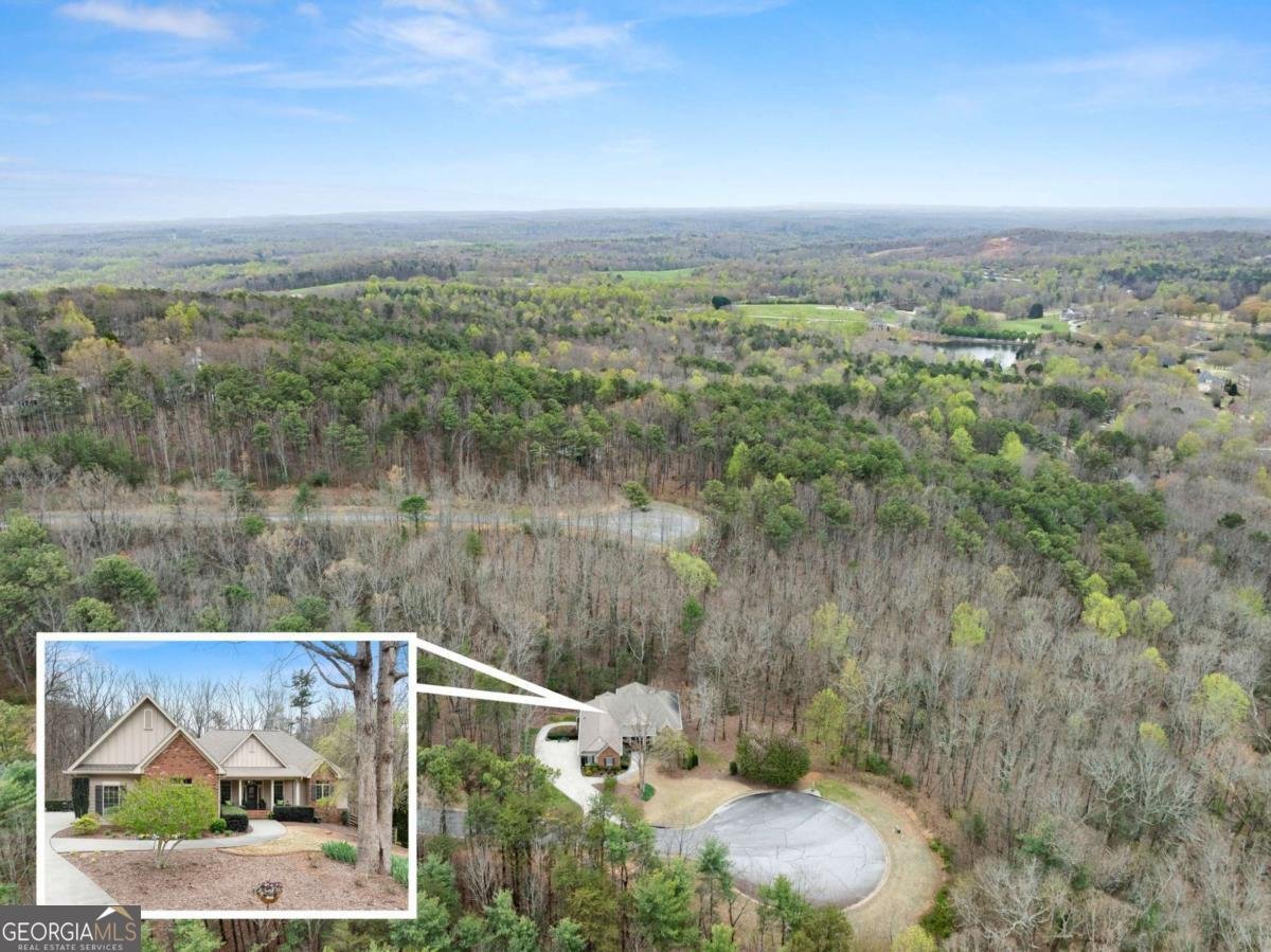 167 Early Red Pippin Clarkesville - Photo 53