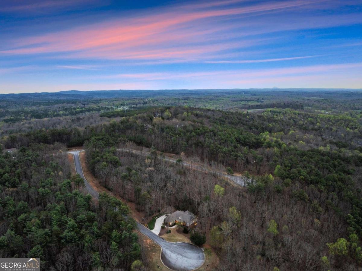 167 Early Red Pippin Clarkesville - Photo 59