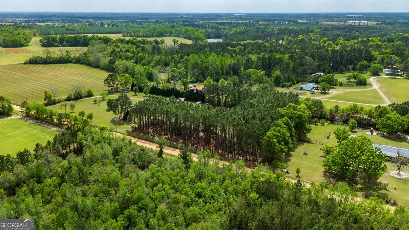 2555 Sam Tillman Road Statesboro - Photo 46