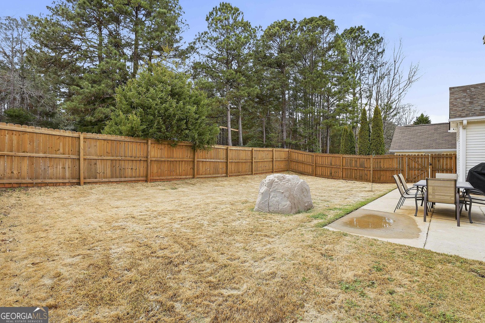 83 Mount Moriah Drive Senoia - Photo 42