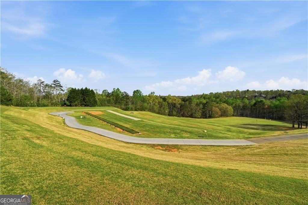 55 Night Fire Court Dawsonville - Photo 47