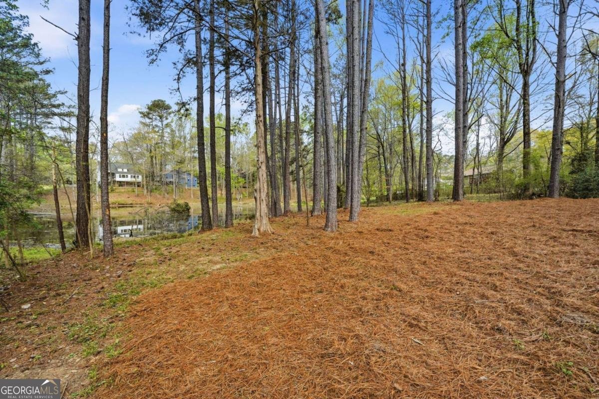 324 Hill Crest Circle Woodstock - Photo 40