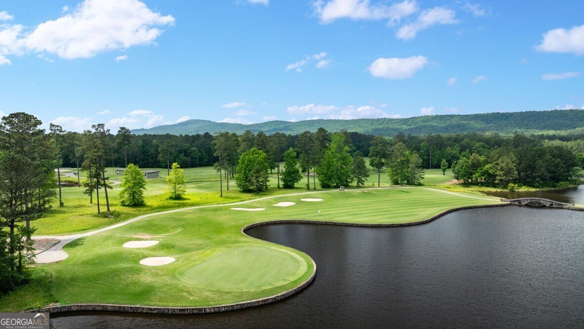 32 Coggins Place Rome - Photo 32