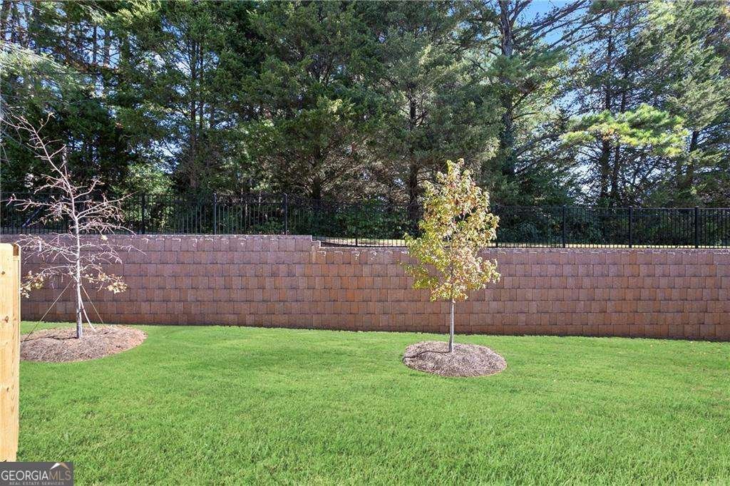 2841 Thames Willow Way Suwanee - Photo 29