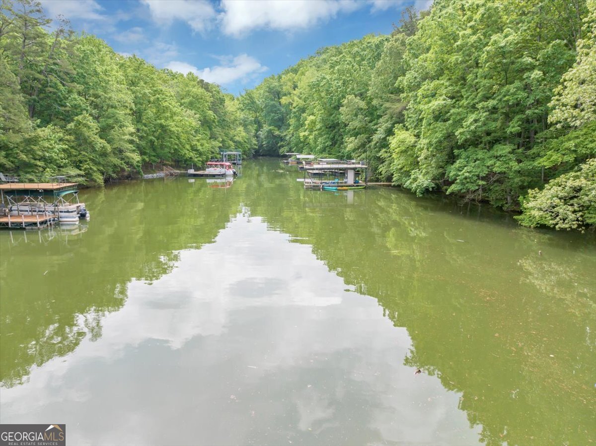 6342 Chesla Drive Gainesville - Photo 48