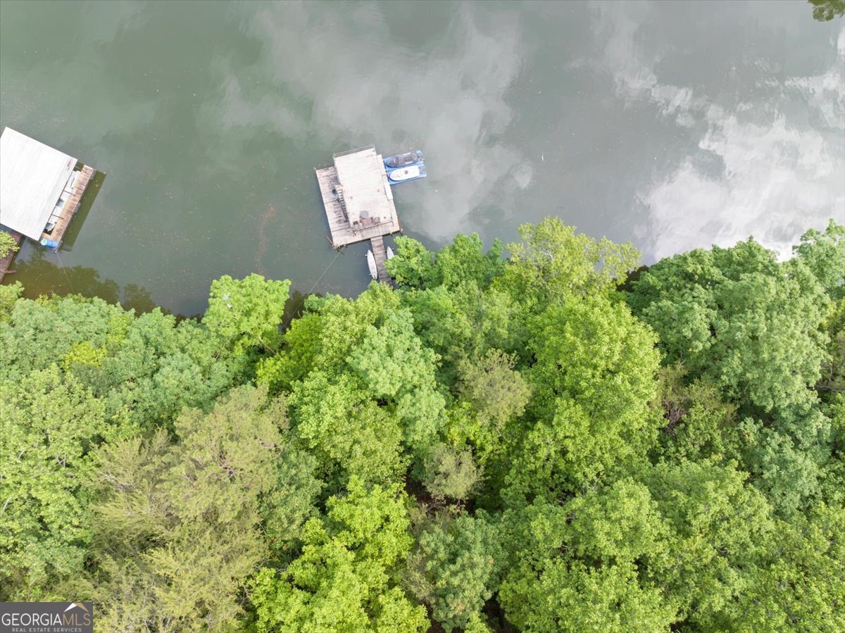 6342 Chesla Drive Gainesville - Photo 50