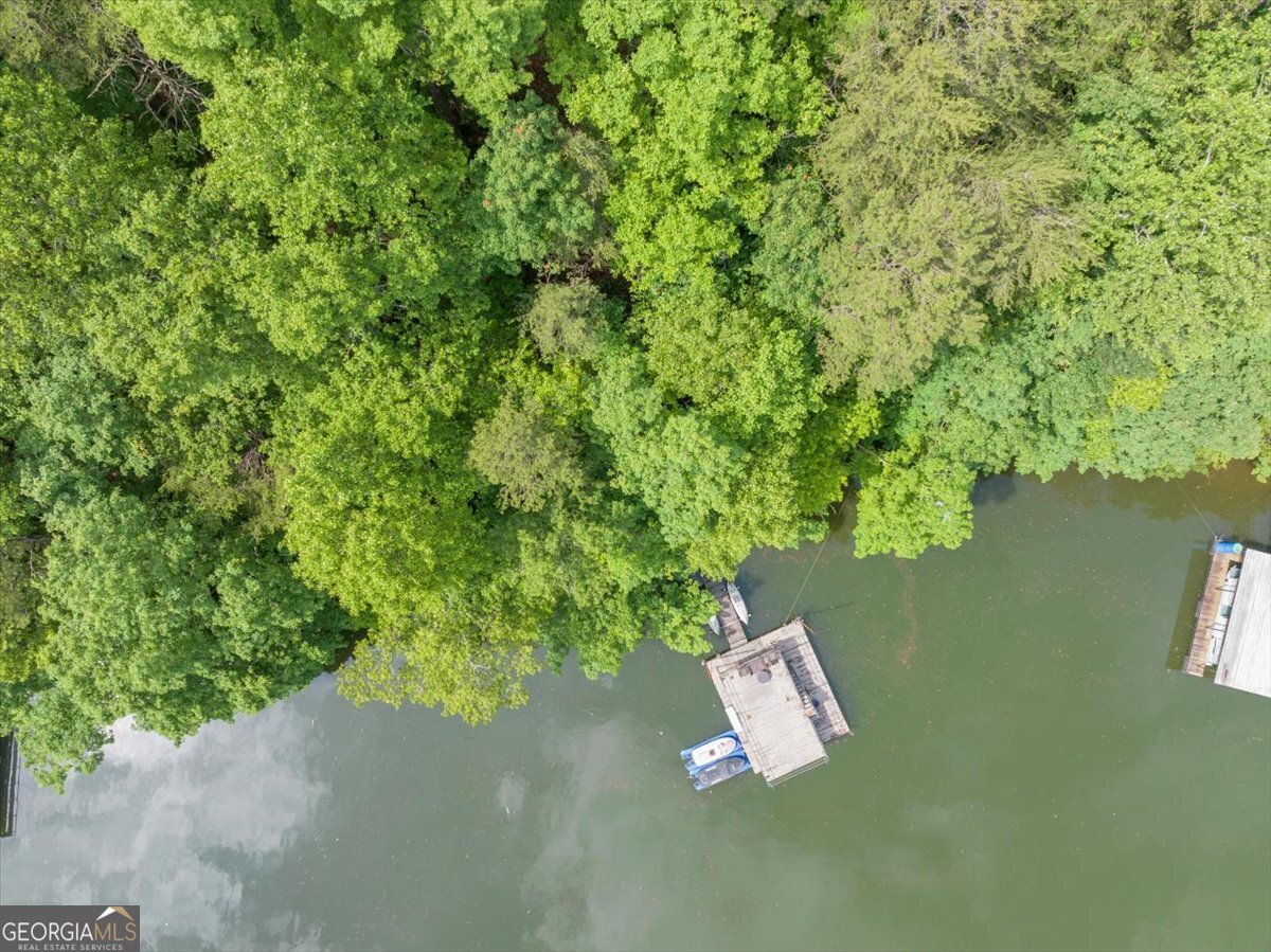 6342 Chesla Drive Gainesville - Photo 51