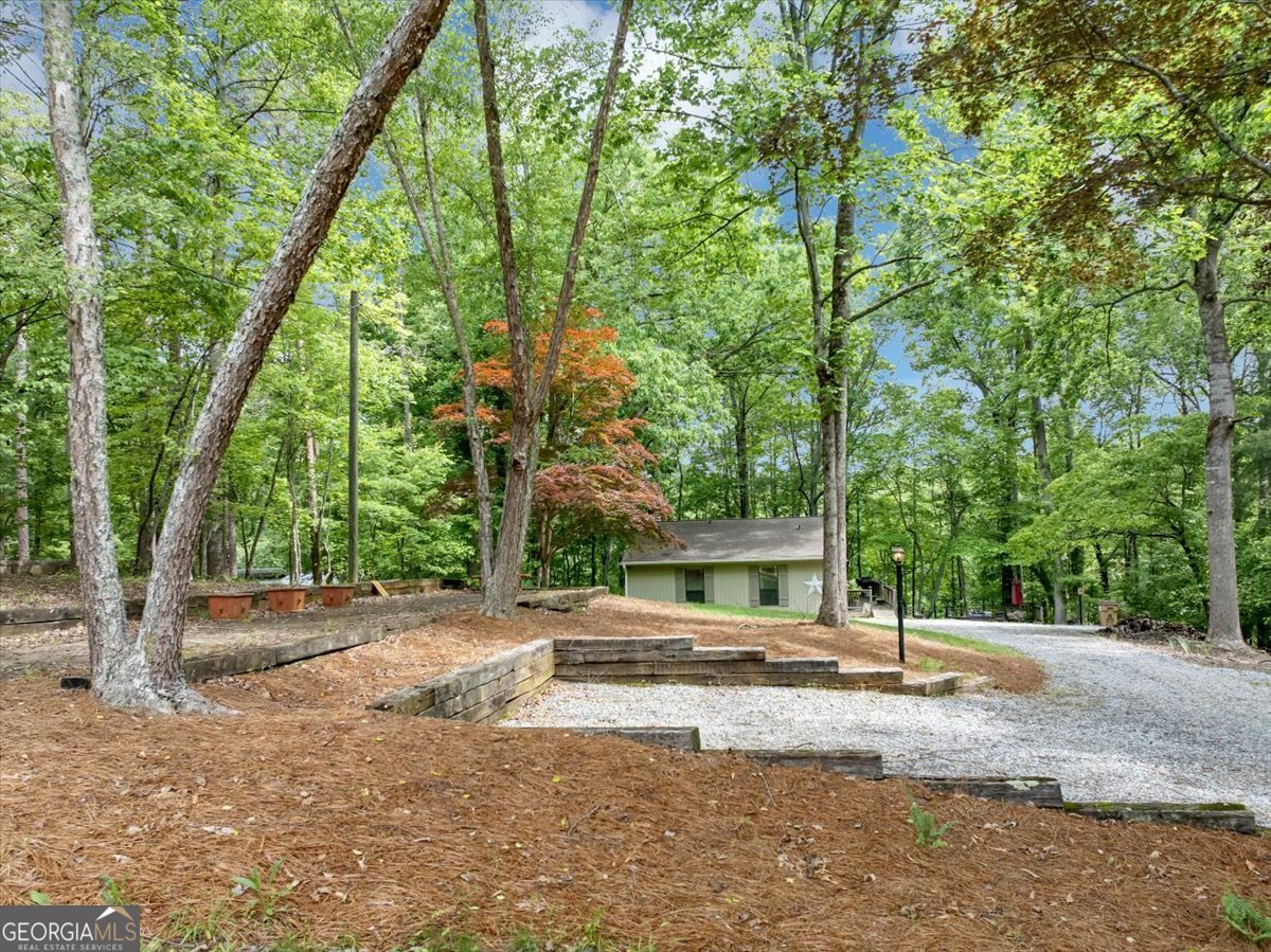 6342 Chesla Drive Gainesville - Photo 6