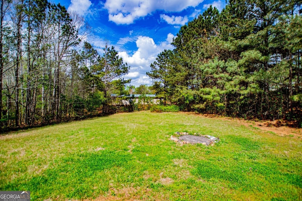 59 Spring Lane Carrollton - Photo 54