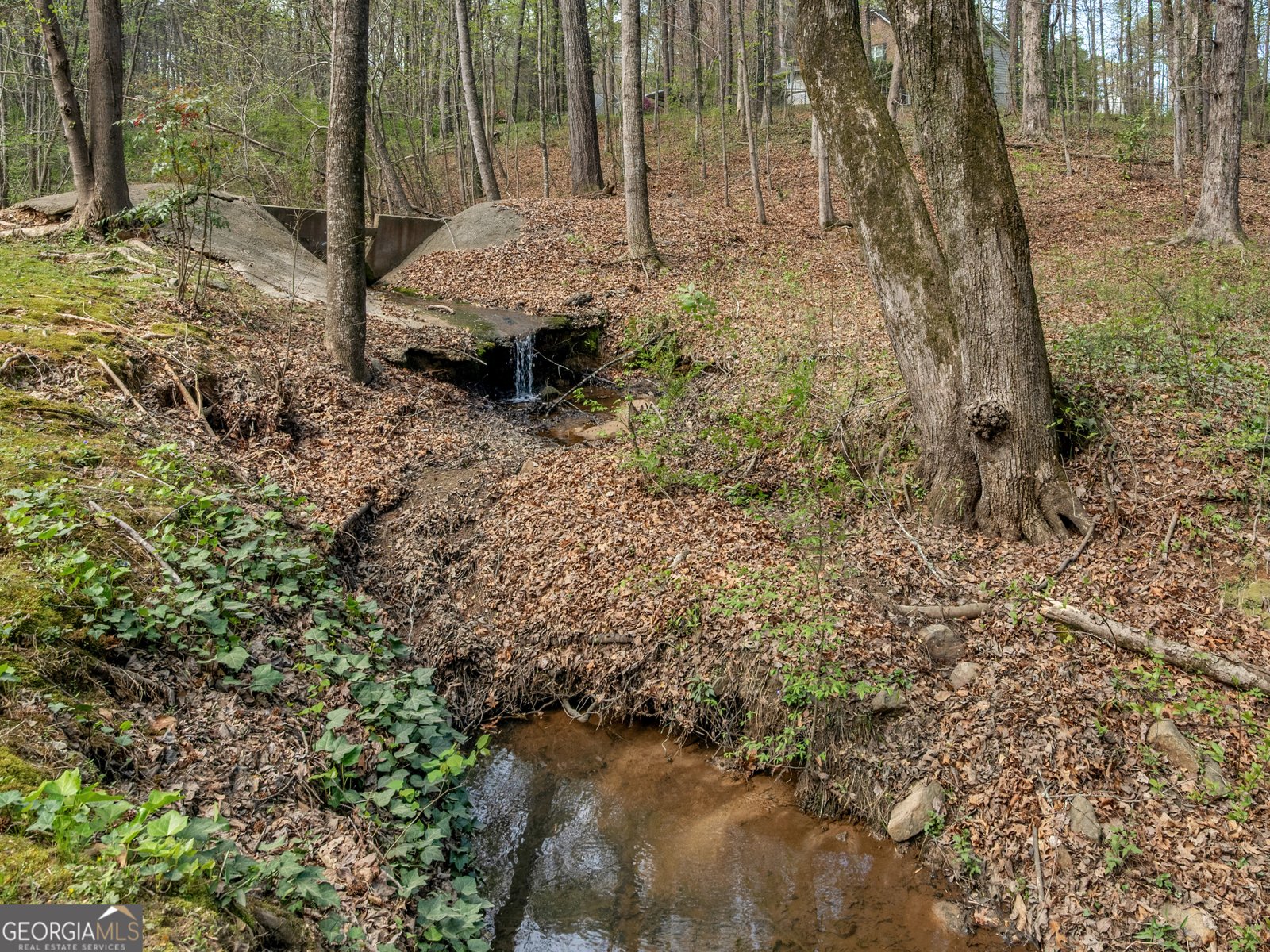 40 Salem Court McDonough - Photo 47