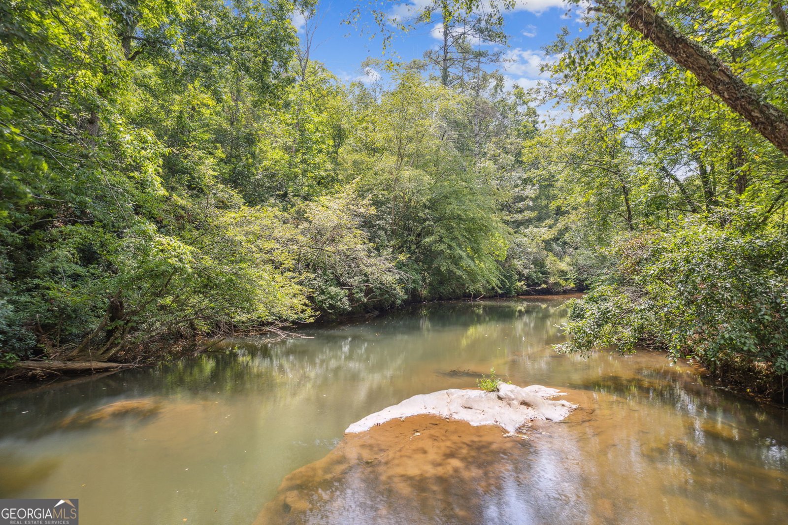 60 Sleepy Frog Lane Dahlonega - Photo 22