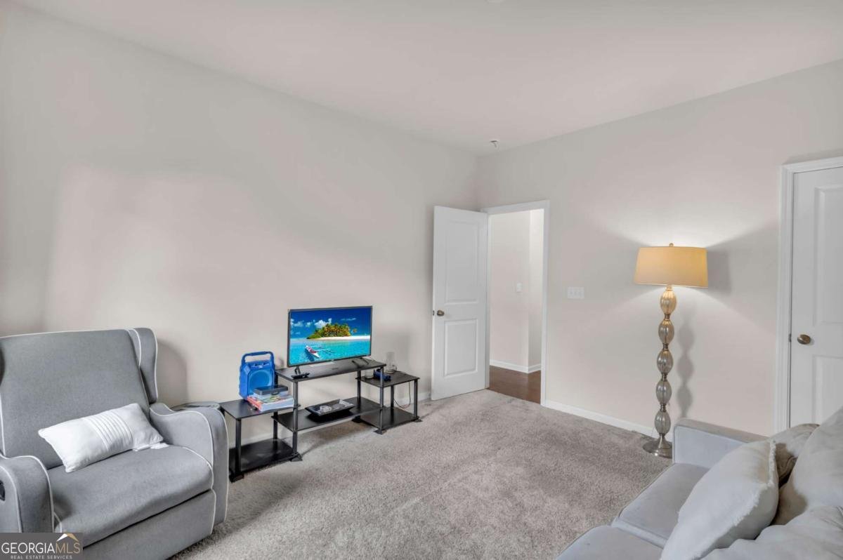 105 Paulownia Circle Mcdonough - Photo 19