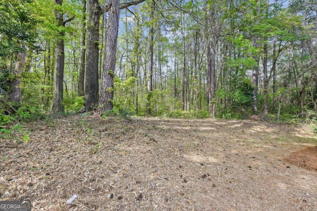 7823 Chase Woods Drive Jonesboro - Photo 33