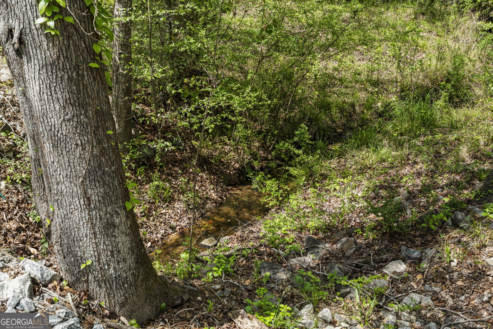 9442 Comanche Road Columbus - Photo 26