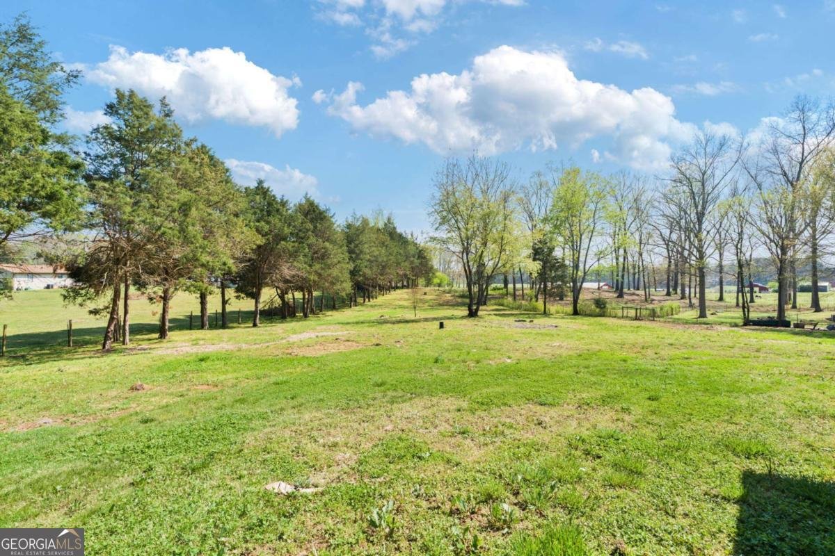 8340 Little Mill Road Cumming - Photo 21