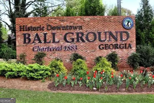 965 Cartersville Street Ball Ground - Photo 62