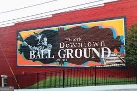 965 Cartersville Street Ball Ground - Photo 63