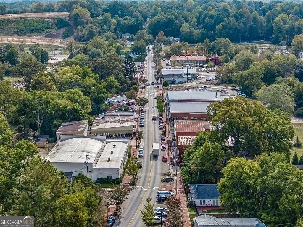 965 Cartersville Street Ball Ground - Photo 69