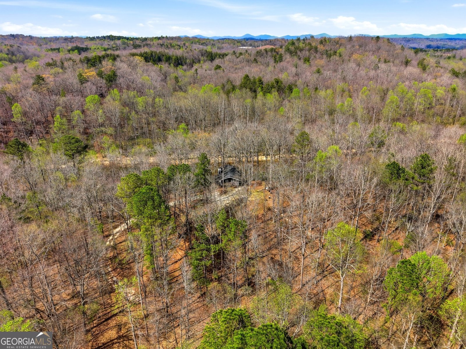 307 Eagle Overlook Drive Dahlonega - Photo 37
