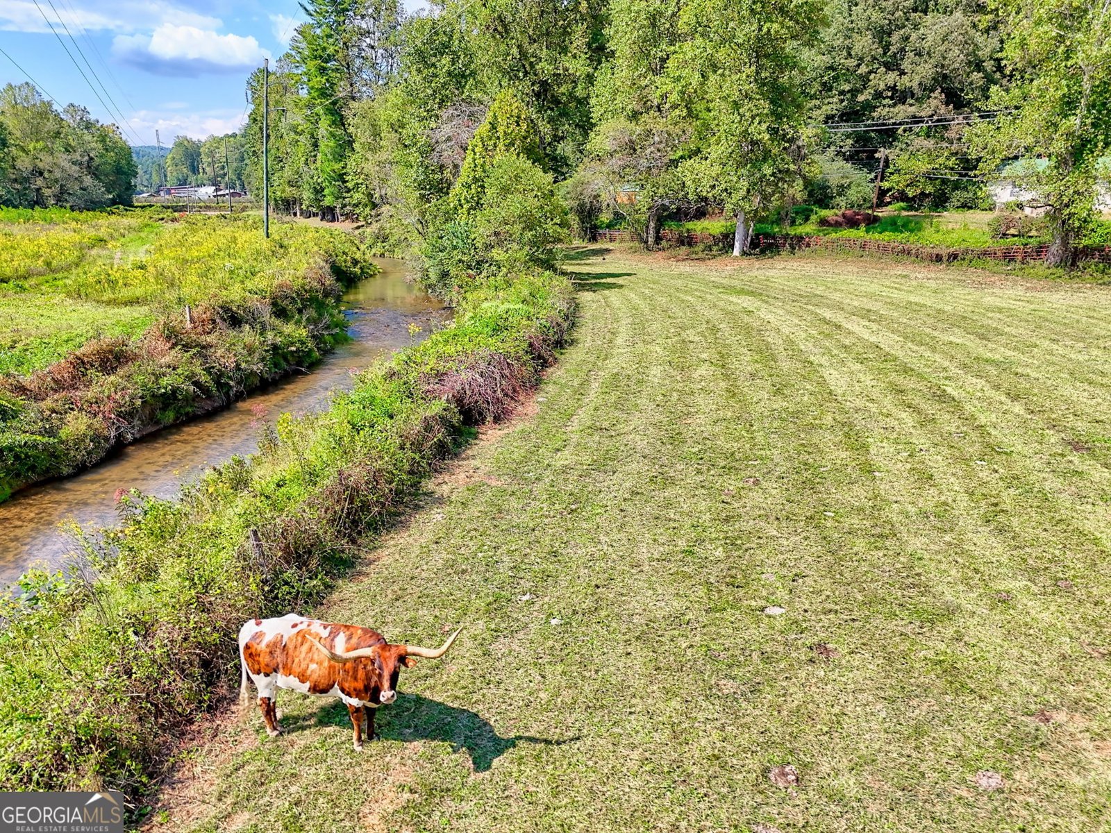 7118 Old 441 Lakemont - Photo 106