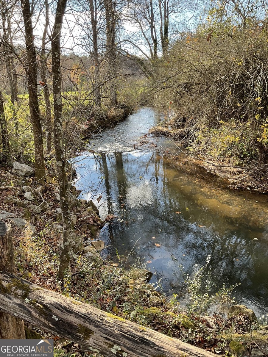 7118 Old 441 Lakemont - Photo 126