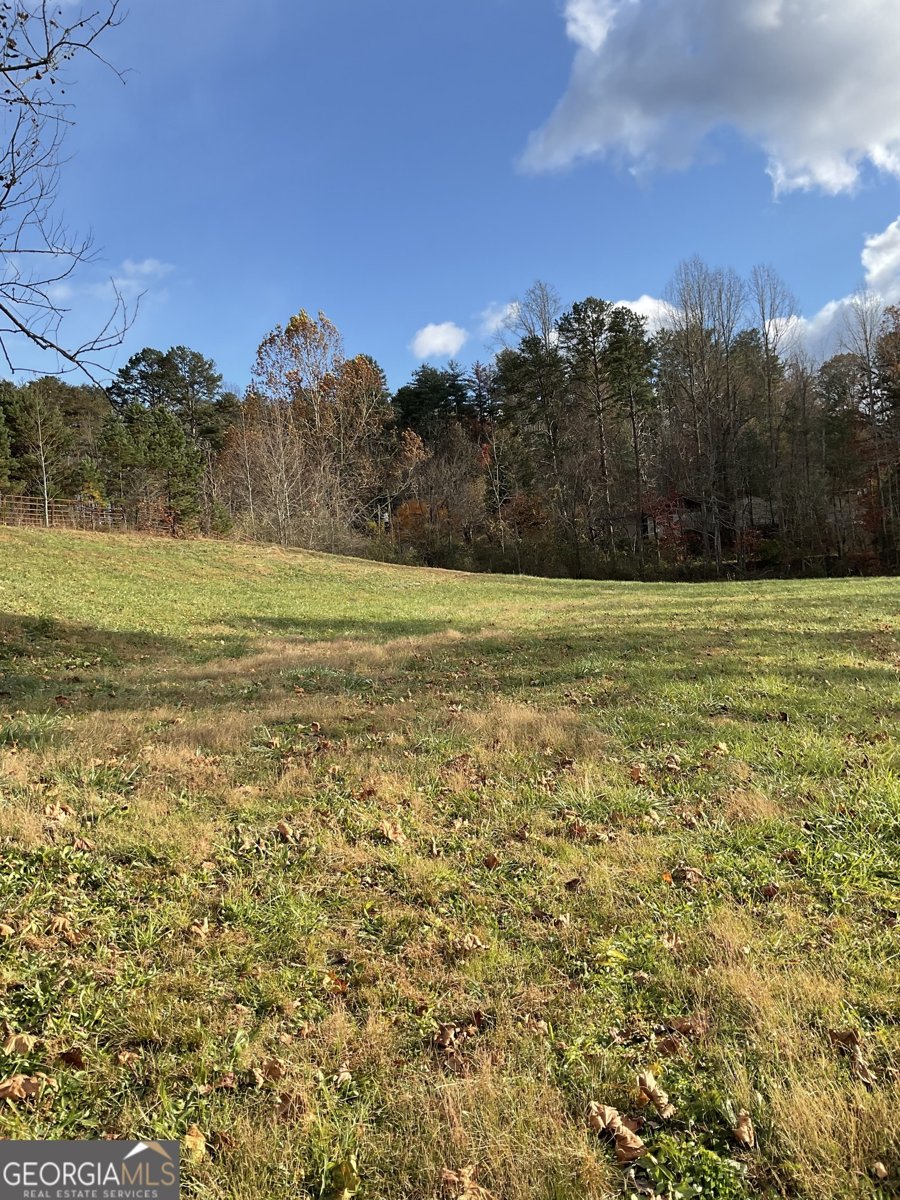 7118 Old 441 Lakemont - Photo 128