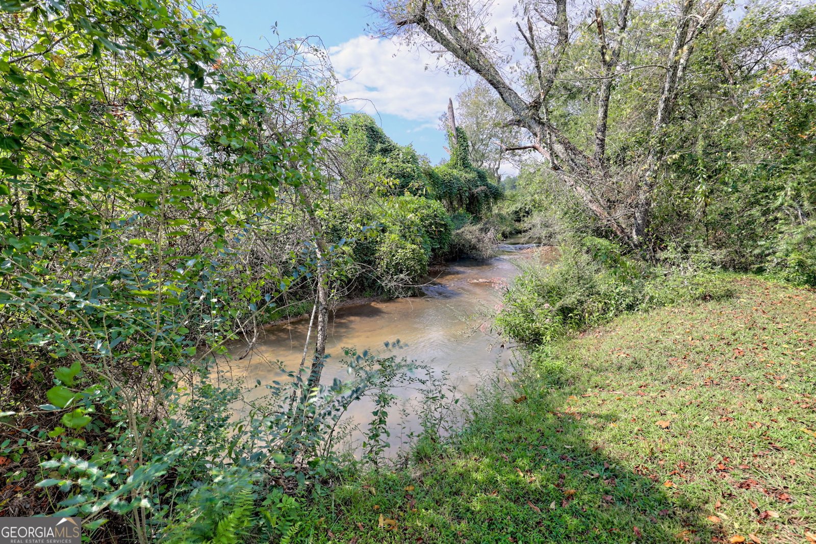 7118 Old 441 Lakemont - Photo 89