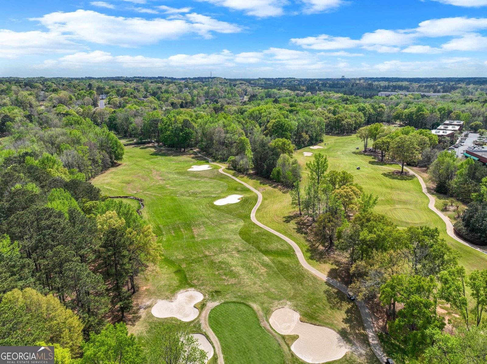 345 Broadmoor Way McDonough - Photo 119