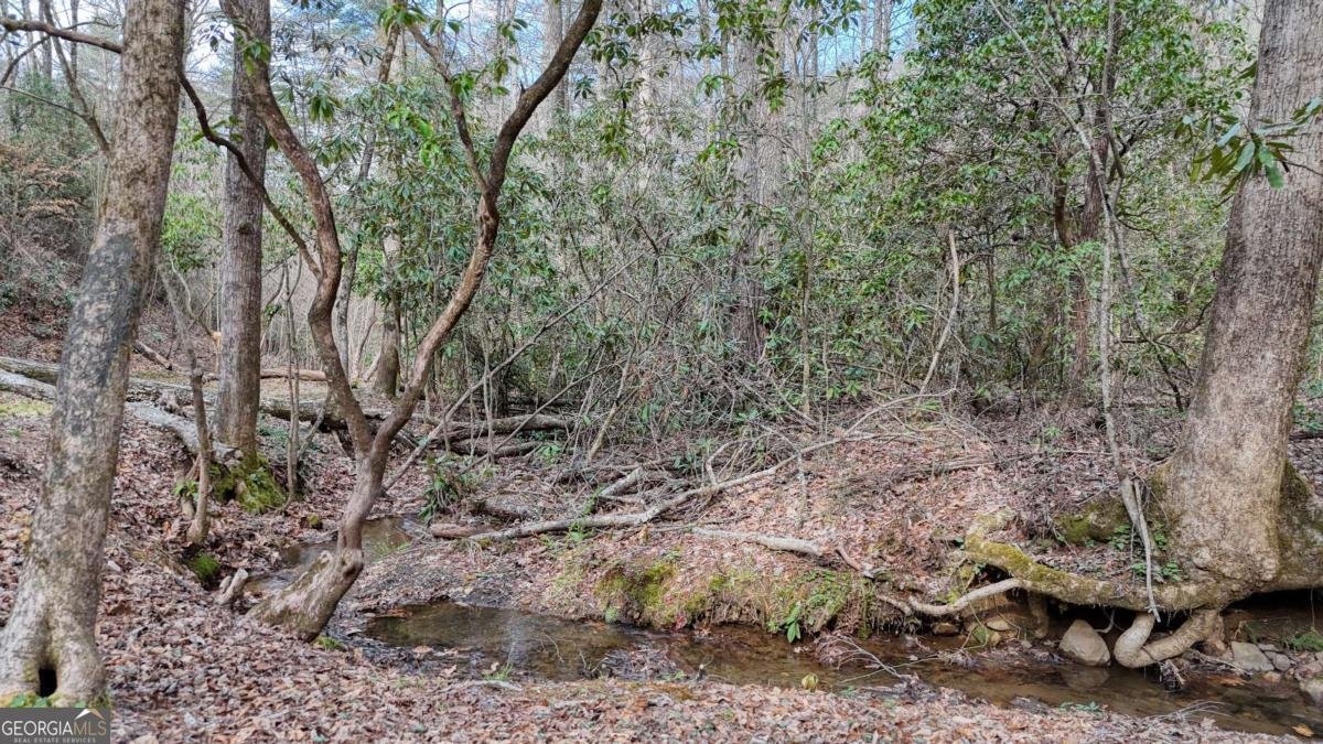 520 Farmer Drive Murphy - Photo 61