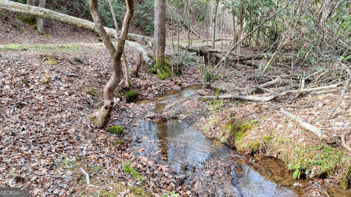 520 Farmer Drive Murphy - Photo 62