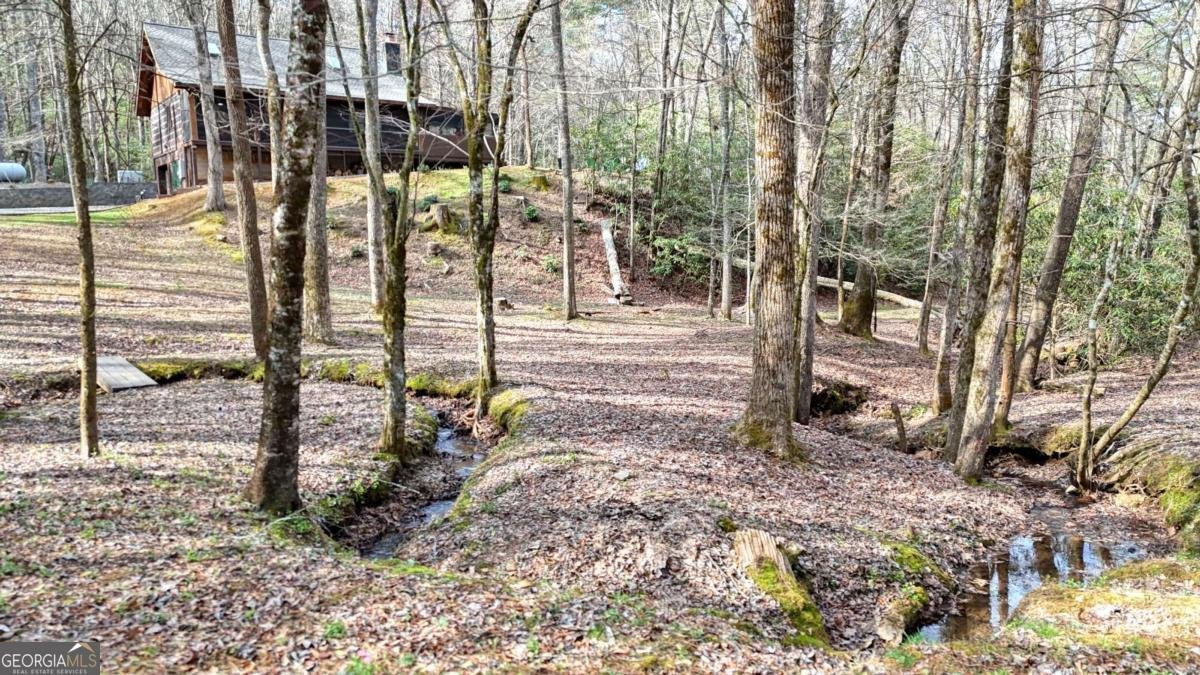 520 Farmer Drive Murphy - Photo 64