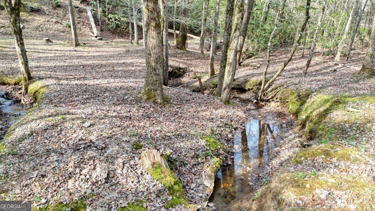 520 Farmer Drive Murphy - Photo 65