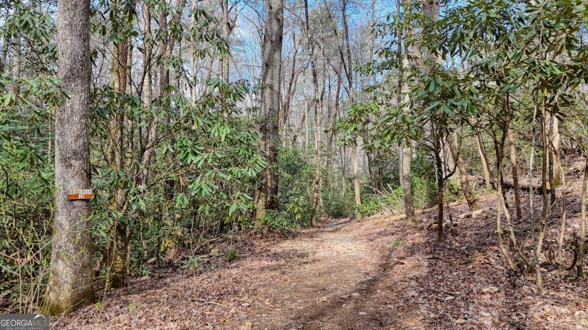 520 Farmer Drive Murphy - Photo 68