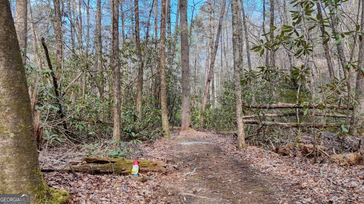 520 Farmer Drive Murphy - Photo 70