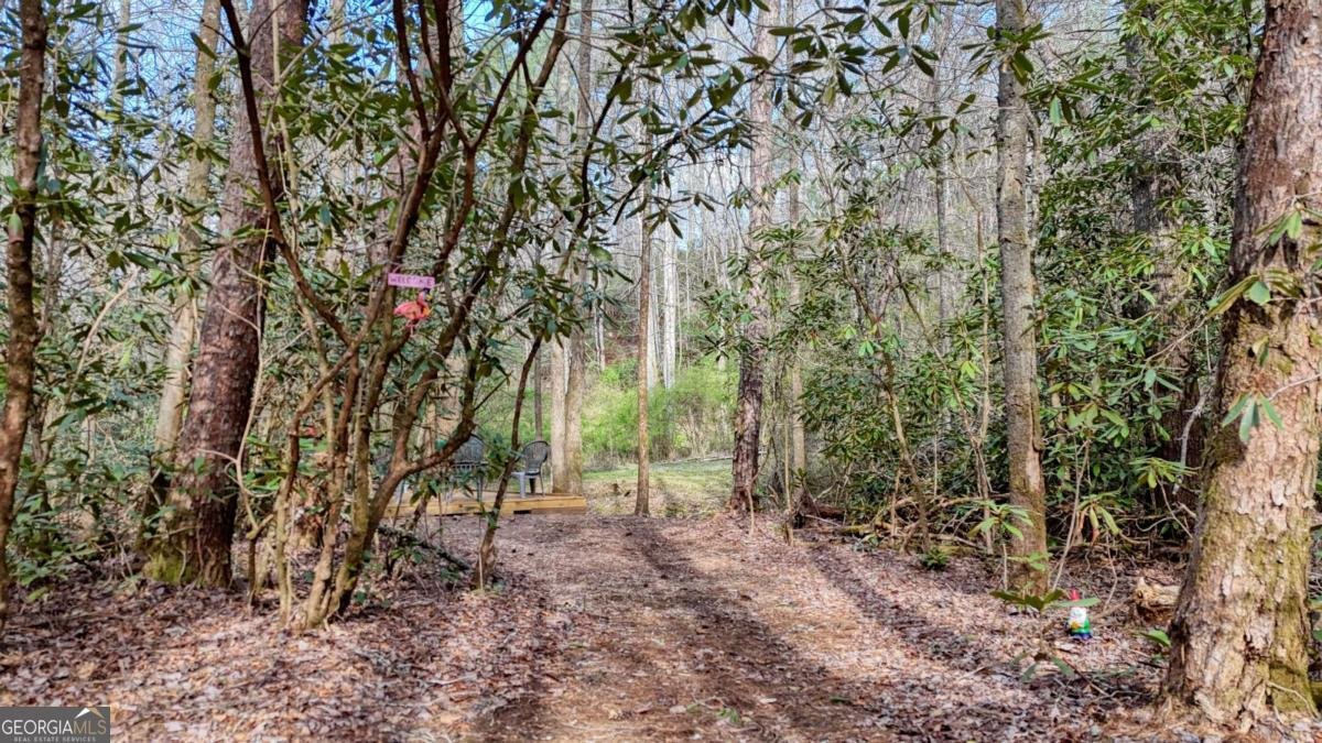 520 Farmer Drive Murphy - Photo 71