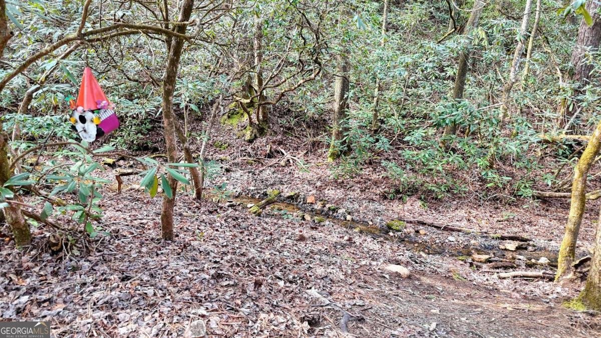 520 Farmer Drive Murphy - Photo 74